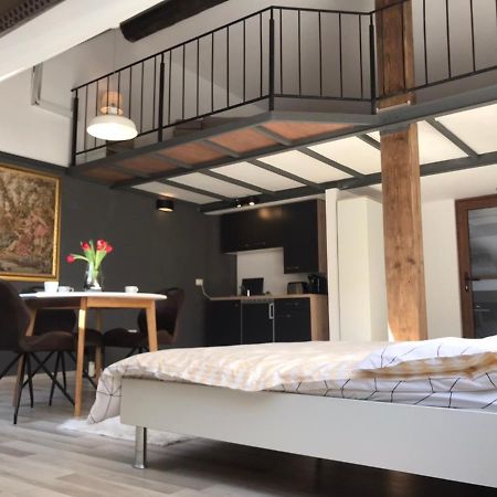 Savoya Nr2 Loft Studio Old City Center Self Check-In Workspace Temešvár Exteriér fotografie