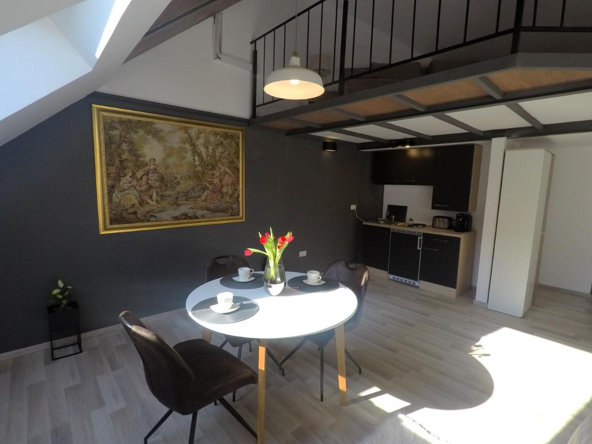 Savoya Nr2 Loft Studio Old City Center Self Check-In Workspace Temešvár Exteriér fotografie