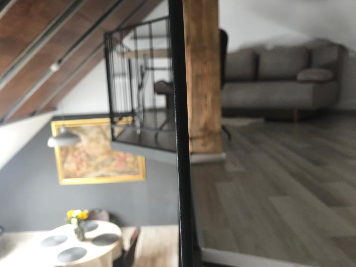 Savoya Nr2 Loft Studio Old City Center Self Check-In Workspace Temešvár Exteriér fotografie